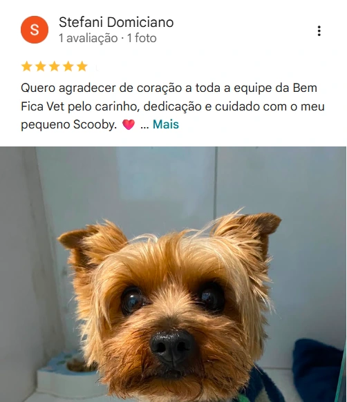 Avaliação real de tutor no Google