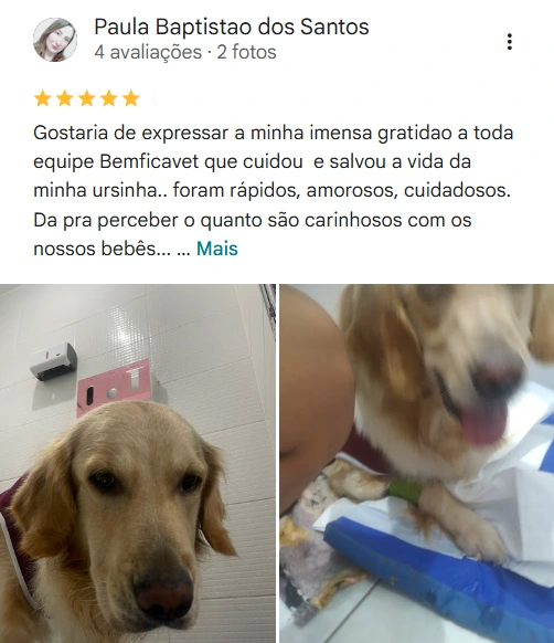 Avaliação real de tutor no Google