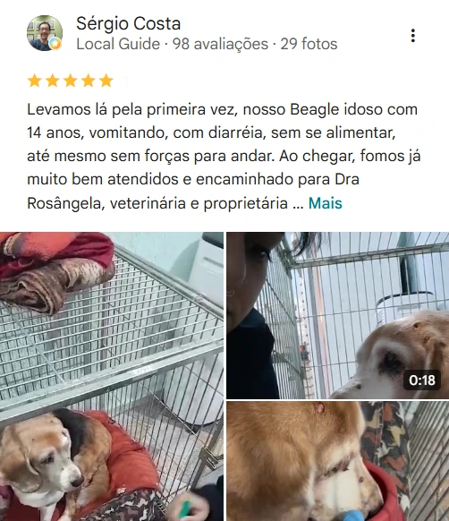 Avaliação real de tutor no Google