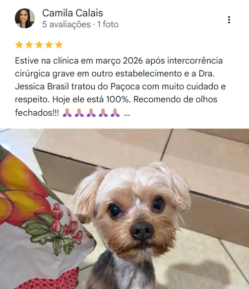 Avaliação real de tutor no Google