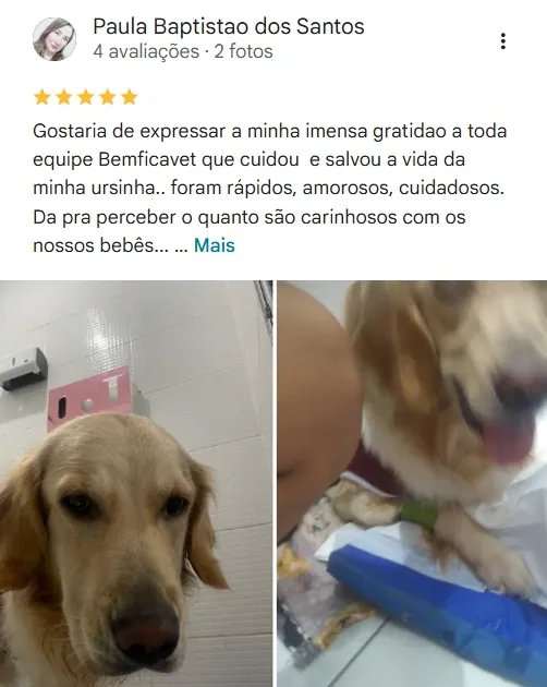 Avaliação real de tutor no Google