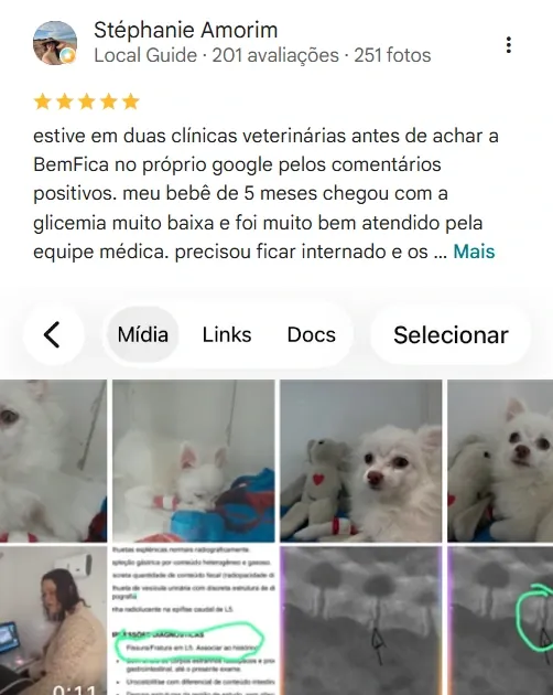Avaliação real de tutor no Google