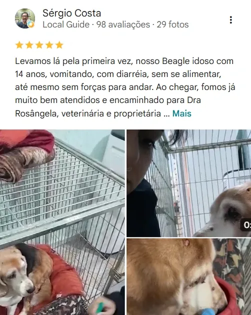 Avaliação real de tutor no Google