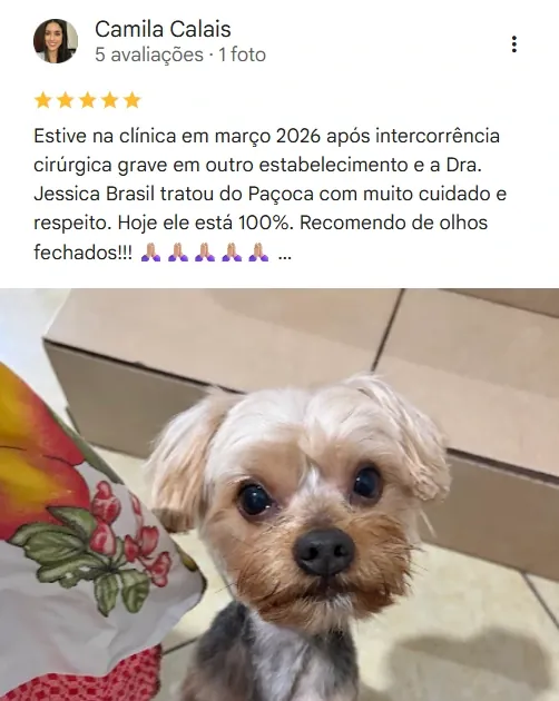 Avaliação real de tutor no Google